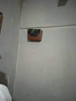 Gabbia per uccelli marrone e verde militare