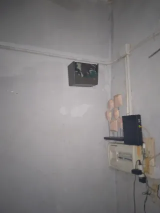 Gabbia per uccelli marrone e verde militare