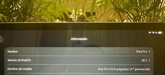 iPad Pro 12.9 4ª Gen