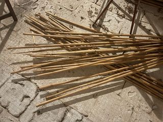 Cañas de bambú para decoración o construcción