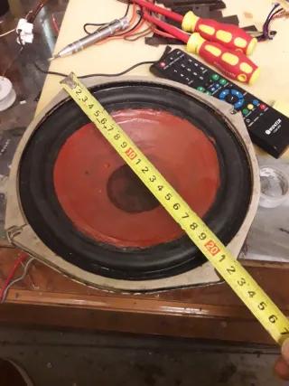 Woofer Roselson 8 pulgadas