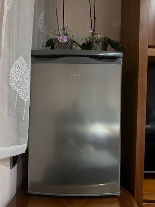 Piccolo congelatore argentato