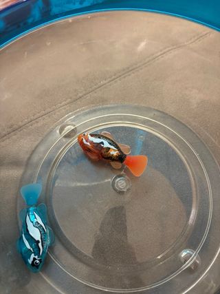 Acuario Robo Fish con 2 Peces