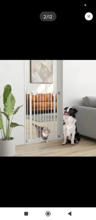 Valla protectora mascotas metal blanca