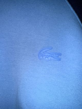 Sudadera Lacoste navy y azul claro