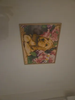 Cuadros Pintura Diamante variados. 15€ unidad