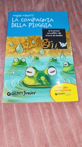 La compagnia della pioggia