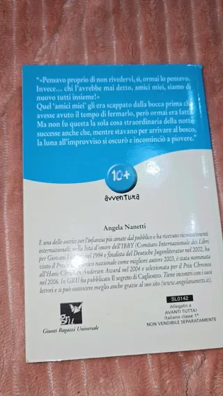 La compagnia della pioggia