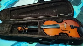 Viola con funda y arco