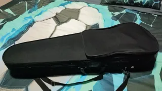 Viola con funda y arco