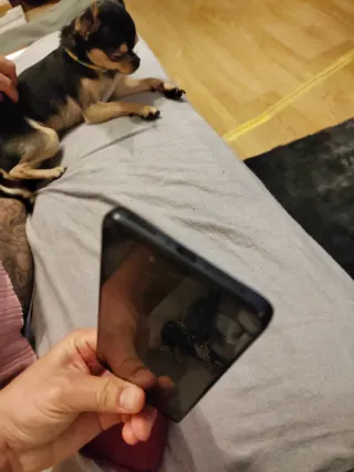 Xiaomi Note 12 Pro Negro