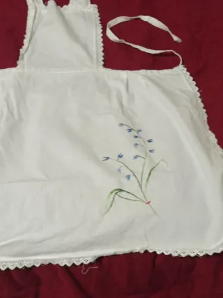 Coppia grembiuli donna vintage