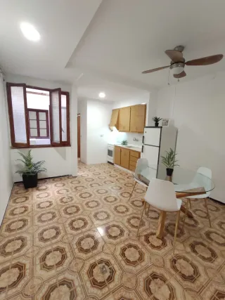 Pintor profesional económico