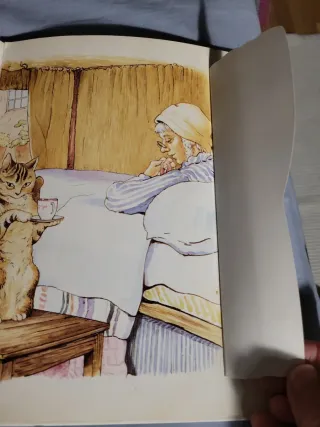 The Tailor of Gloucester A Lift-the-flap Book