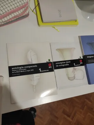 Lengua castellana y literatura. 1 Bachillerato....