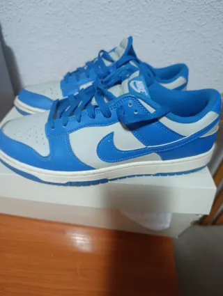 Nike Dunk Low Retro Zapatillas Azul Blanco