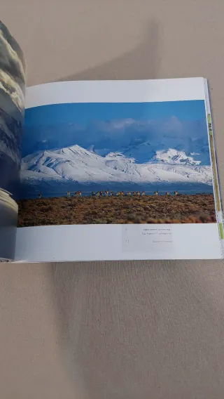 Patagonia Tierra De Aventuras