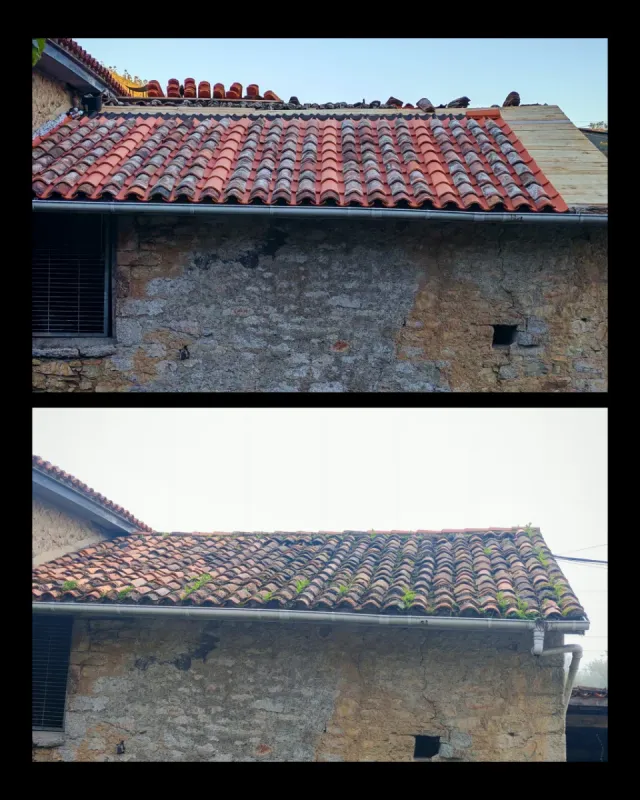 Servicio de mantenimiento de tejados