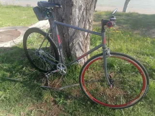 Bicicleta Fixie Gris