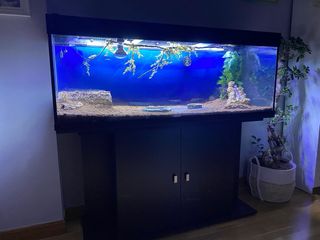 Acuario 300L Sirocco