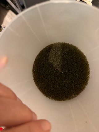 Eheim 250 MODELO 2213 Classic con grifos