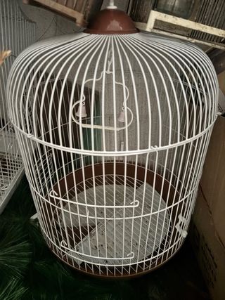 Gabbia per uccelli arancione e bianca