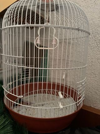 Gabbia per uccelli arancione e bianca