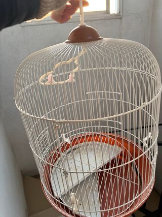 Gabbia per uccelli arancione e bianca