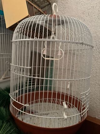 Gabbia per uccelli arancione e bianca