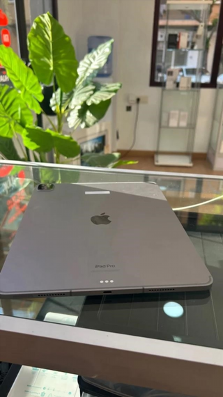 iPad Pro 12.9 6ª Gen 256GB Grigio Wifi+LTE