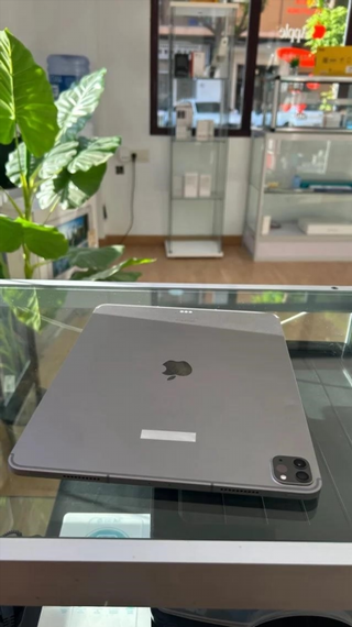 iPad Pro 12.9 6ª Gen 256GB Grigio Wifi+LTE