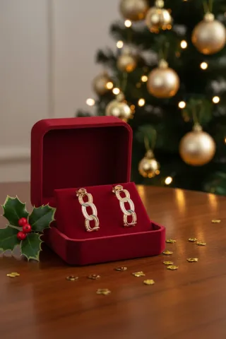 Orecchini in acciaio chirurgico elegante con anello