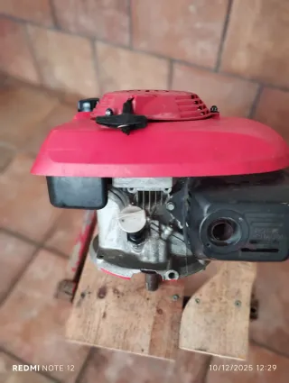 Motor Honda Cortacésped Gasolina160 CV 5.5 cc