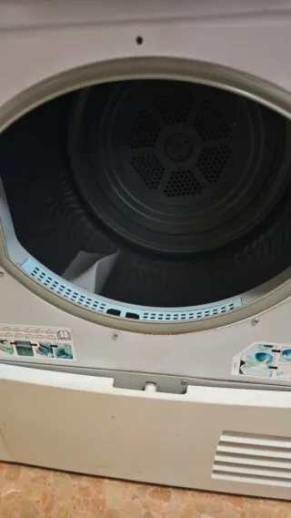 Secadora Indesit IDCA G35