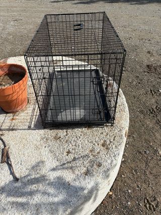 Transportín para perros (braco aleman y similar)