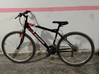 Bicicleta DENB