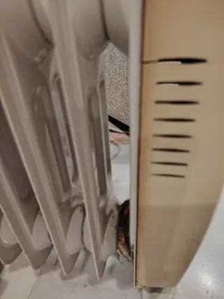 Radiador de aceite blanco