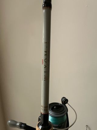 Caña de pescar y carrete