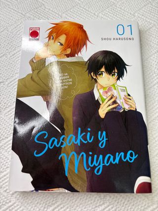 Sasaki y miyano n.1