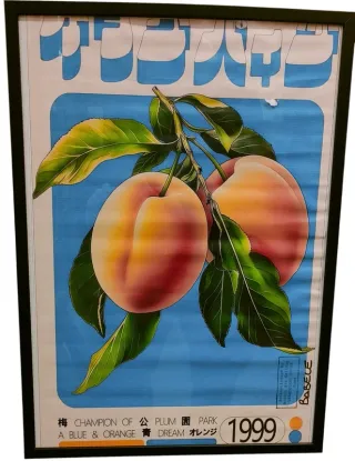 Quadro Babele Apricots 60x40 Carta