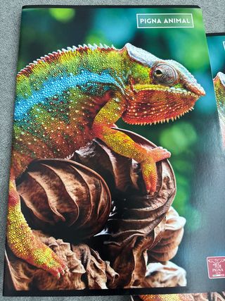 3 cuadernos de cuadrícula de animales de Pigna.