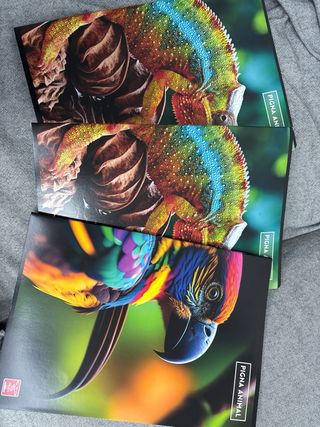 3 cuadernos de cuadrícula de animales de Pigna.