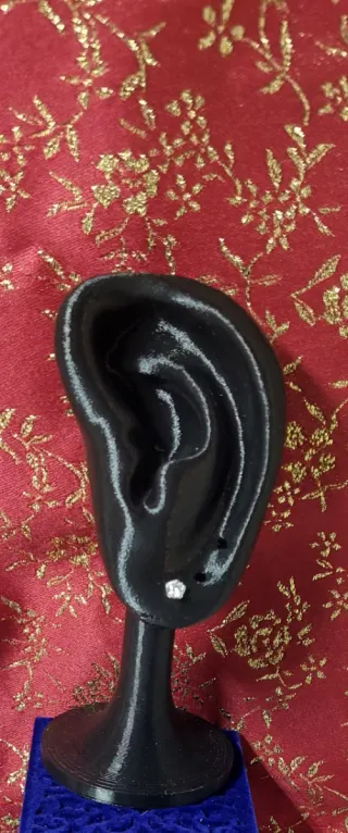 Pendientes de Plata de Ley