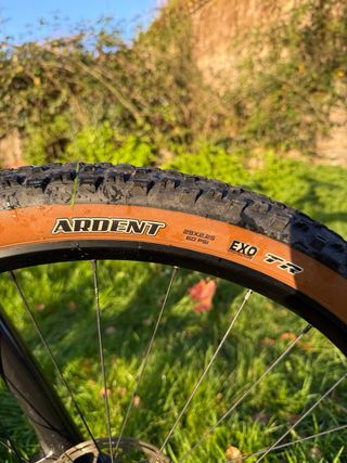 Bicicletta Trek Procaliber Montagna