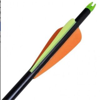 Set Arco Longbow Tiro