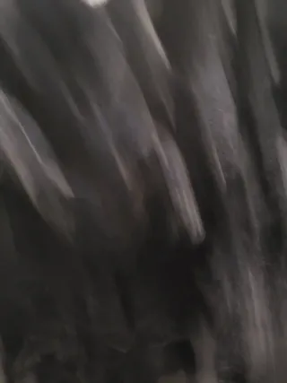 Abrigo de pelo negro