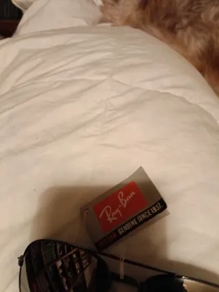 Gafas de sol Ray-Ban Aviator Negro/Plata