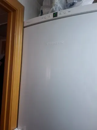 Frigorífico Combi Liebherr Blanco