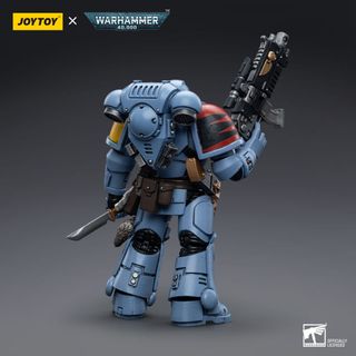 Warhammer 40k Space Wolves Intercessors JoyToy