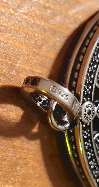 Colgante Rueda de la Fortuna Plata 925